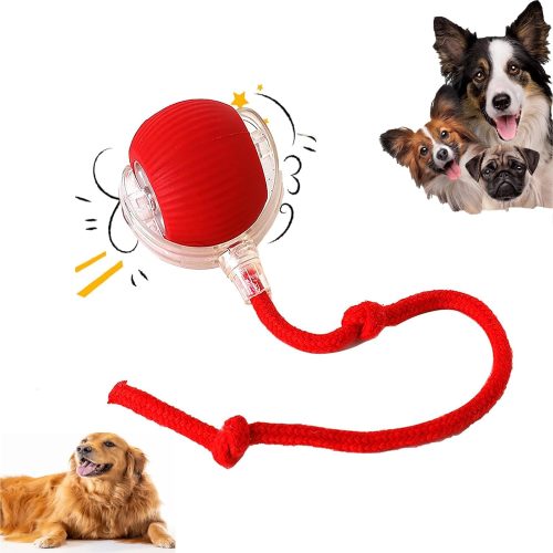 Smart Automatic Rolling Ball Dog Toy Electric Interactive Play for Pets