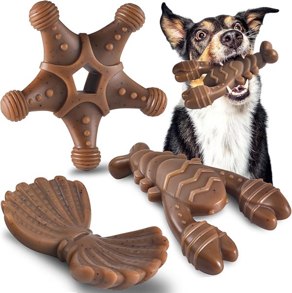 Tough Nylon Chew Toys for Aggressive Chewers Durable Dog Bones